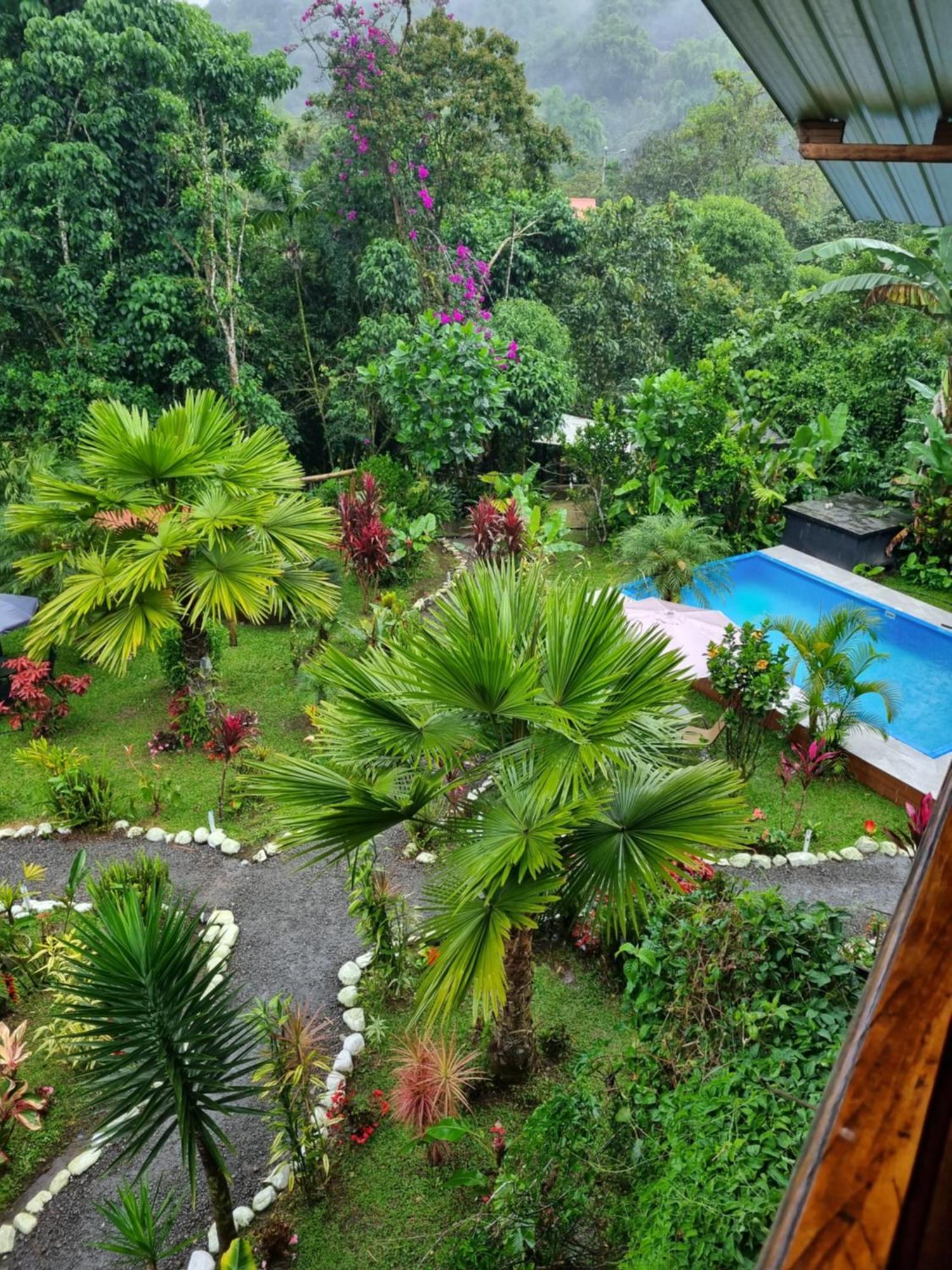 Mindo Green House Exterior foto